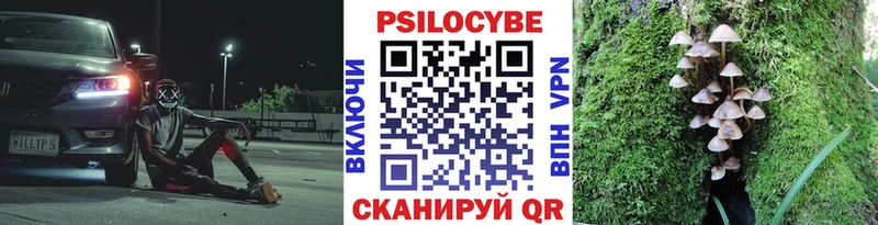 Псилоцибиновые грибы MAGIC MUSHROOMS Починок