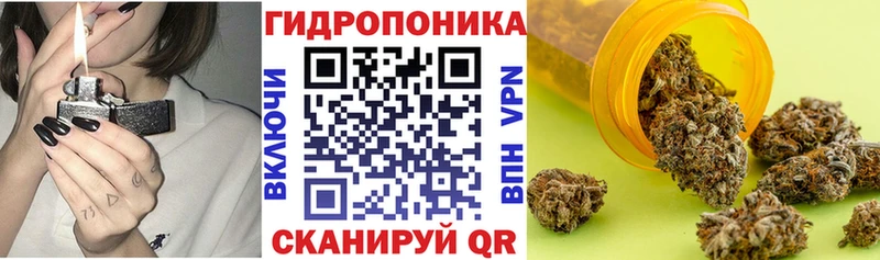 Конопля Bruce Banner  где купить наркоту  Починок 